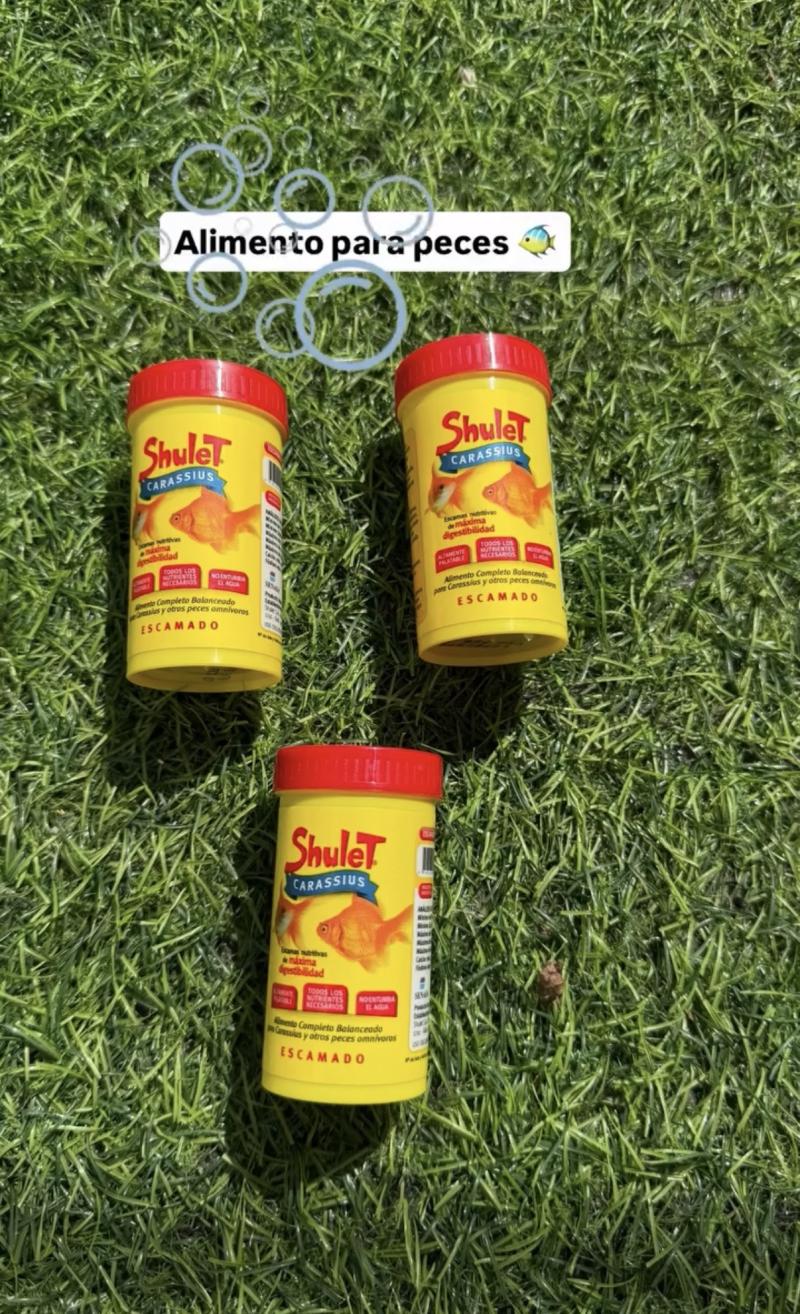 Alimento para peces